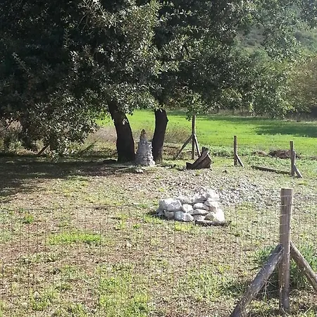 Vicolo Iii *