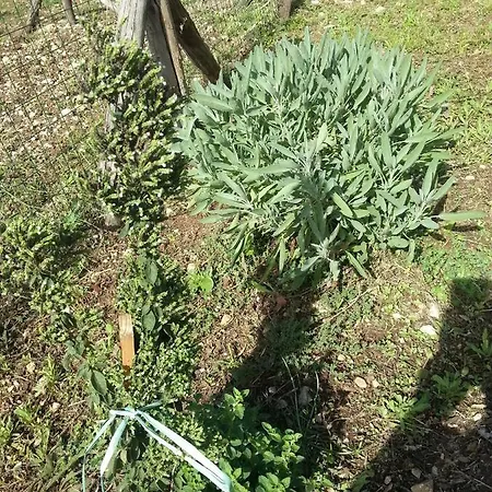 Vicolo Iii Apartman Roccacasale